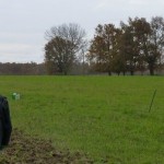 Plantation de haies: chantier solidaire