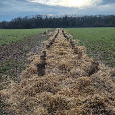 Des journées collectives pour planter l’avenir
