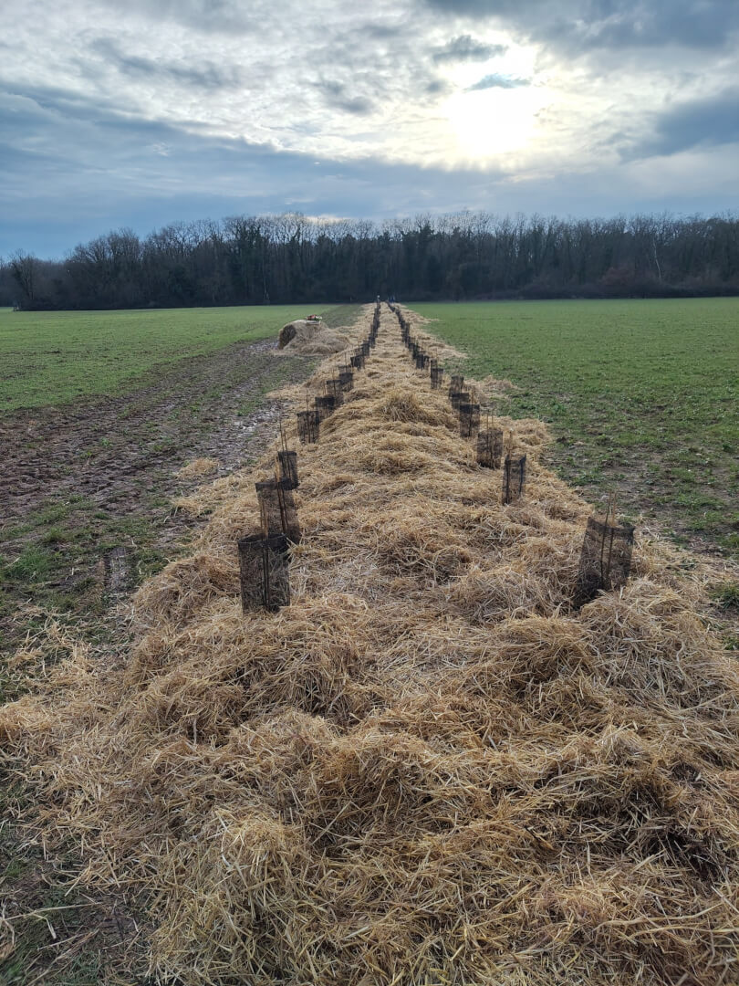 Des journées collectives pour planter l’avenir