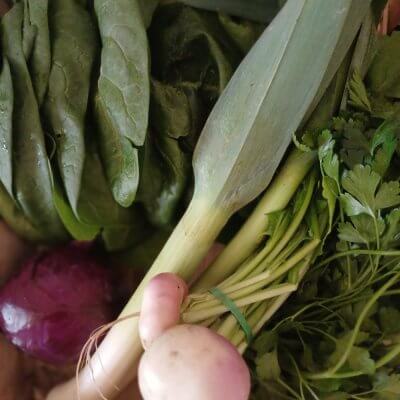 Paniers solidaires: genèse d&rsquo;un projet